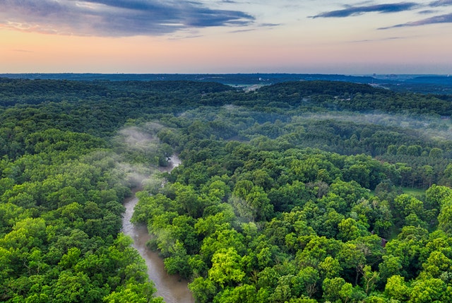 Fem vilde fakta om Amazon regnskoven