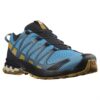 Salomon XA Pro 3D v8 Mens, Reef / Fall Leaf