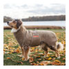 Siccaro - Solution Hunde Tørredragt Sand 40